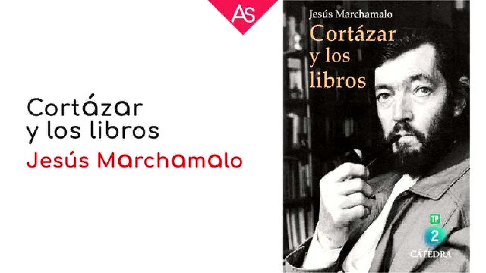 LA AVENTURA DEL SABER- Libro `Cortázar y los libros¿ de Jesús Marchamalo