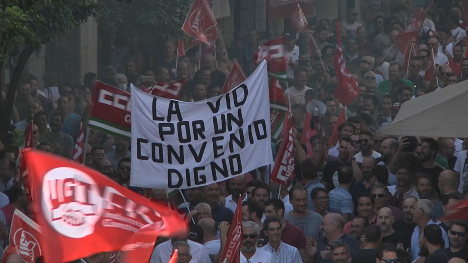 Huelga en el sector de la vid - Ver ahora