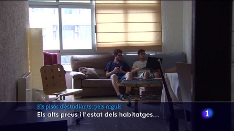 Els pisos d'estudiants, pels niguls - Veure ara