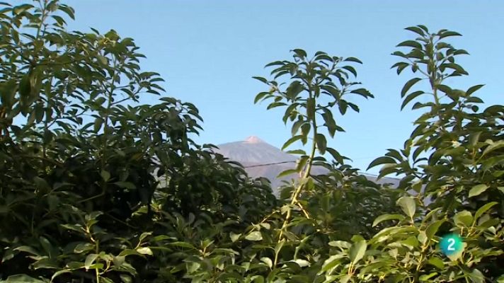 Telecanarias - Telecanarias 2 - 21/09/2022