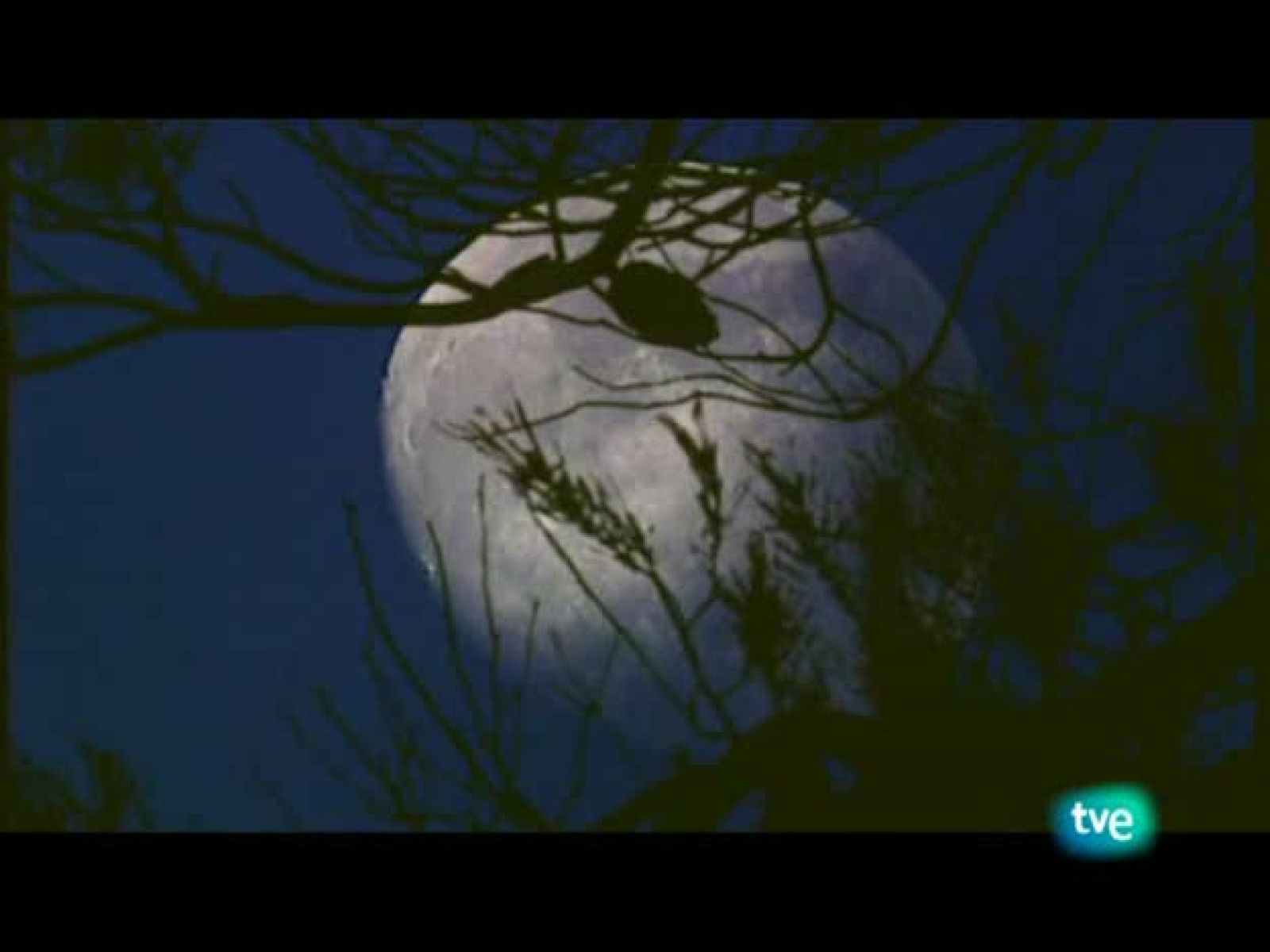 Jara y sedal - Made in Spain - Jara y sedal | Ver