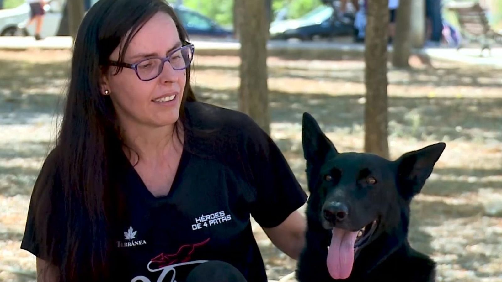 Numa, una jubilada del ejército que realmente es una heroína de cuatro patas - Ver ahora