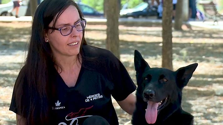 La hora de La 1 - Historia inspiradora: Numa, una heroína de cuatro patas