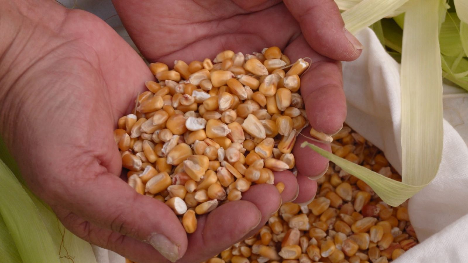 Aquí la Tierra - 23/09/22 - ver ahora