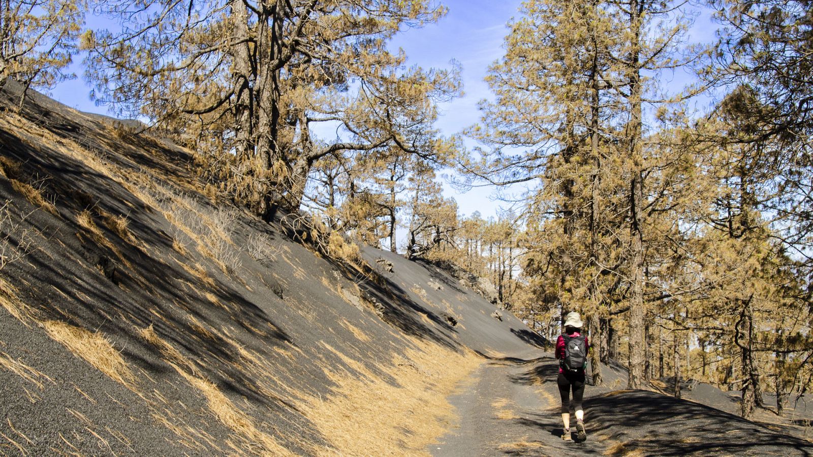 Somos documentales - Ecos de un volcán - ver ahora