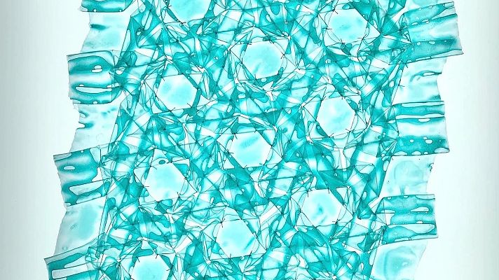 Telediario 1 - El artista sudafricano Pierre Louis Geldenhuys expone en Madrid