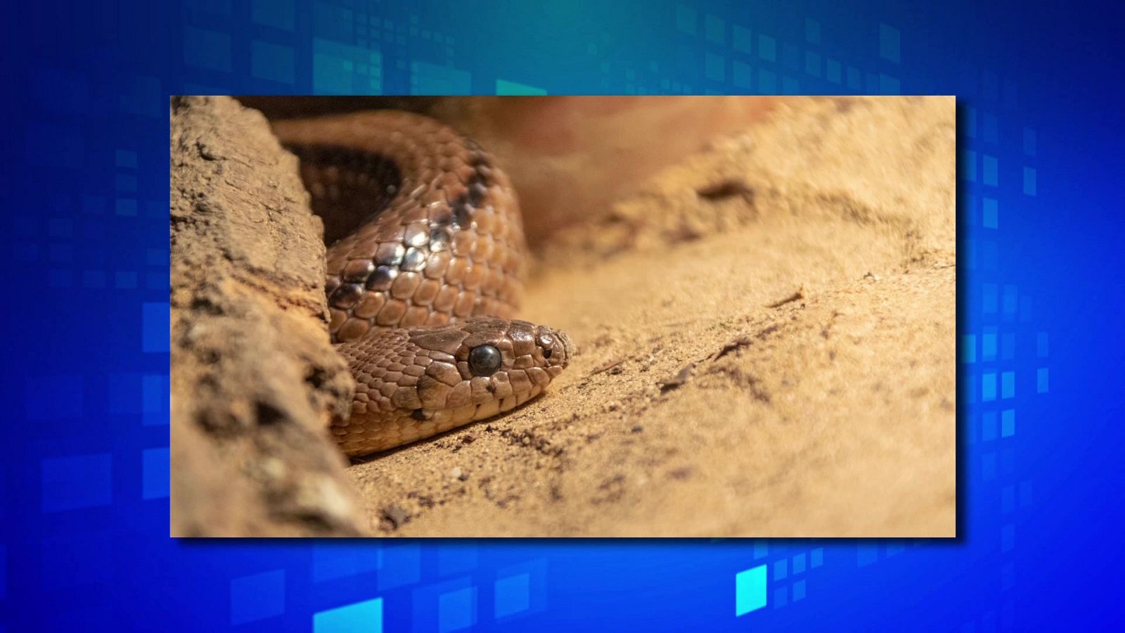 Saber y ganar. Edición de fin de semana - 01/10/22 - ver ahora