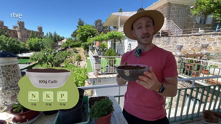 Va de verd - Álvaro, adob de cafè