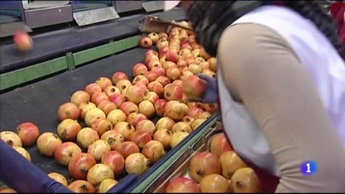 L'informatiu - Comunitat Valenciana - L'informatiu Comunitat Valenciana 1 - 29/09/22