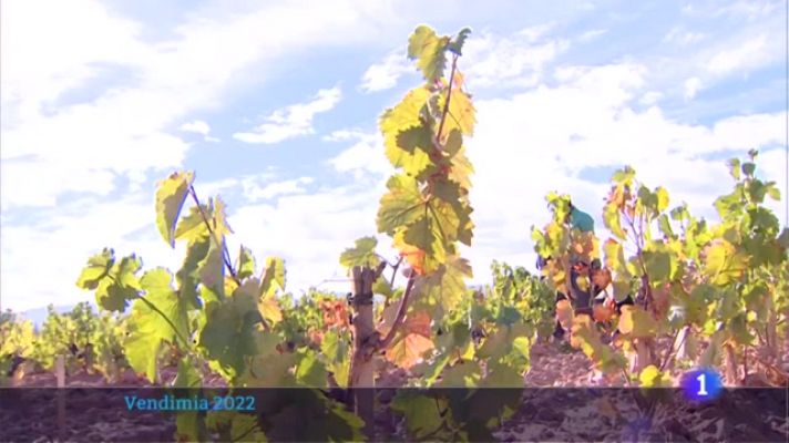 Informativo Telerioja - Telerioja en 2' - 29/09/22