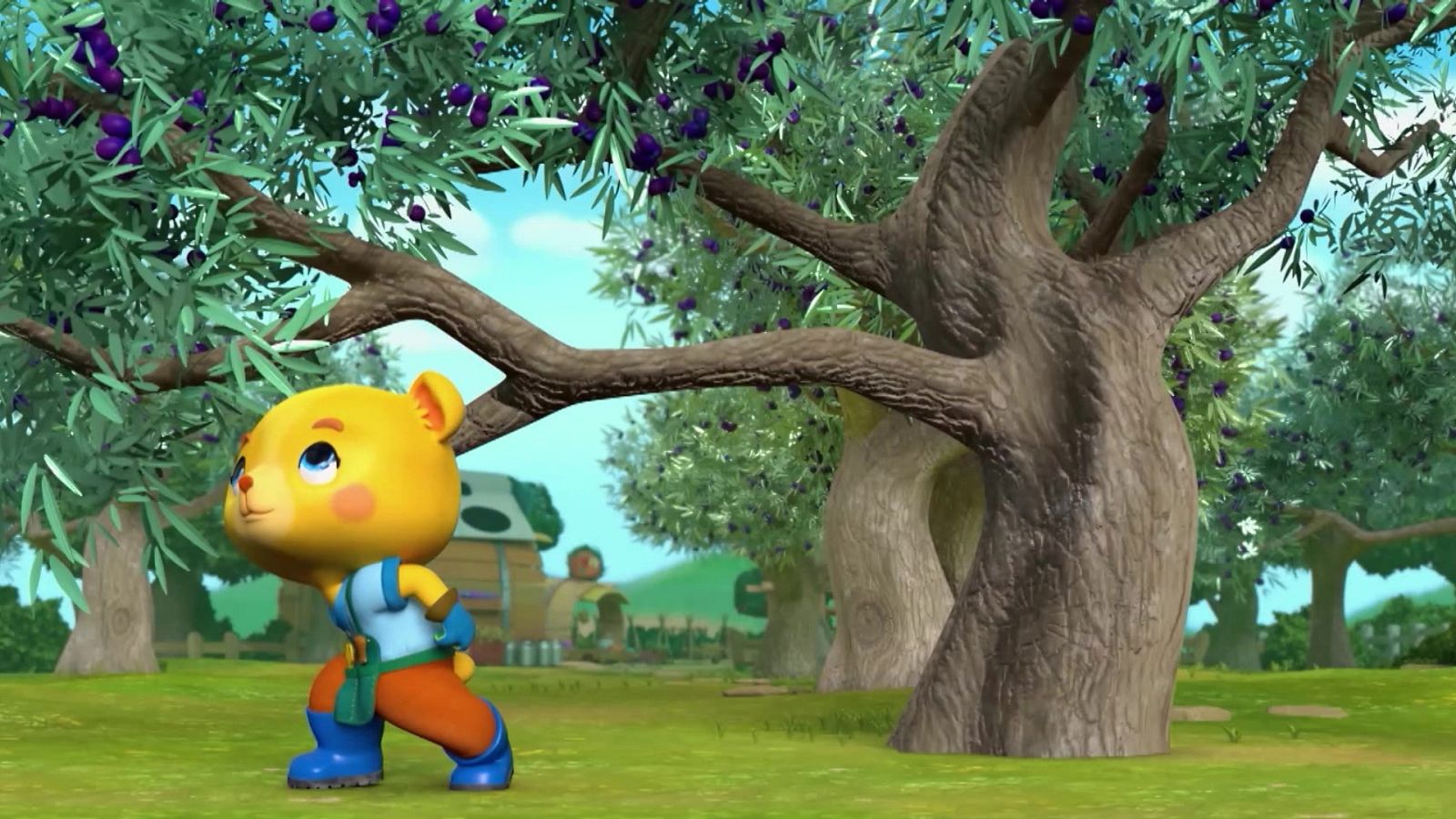 La lluvia de aceitunas - La granja feliz | Ver