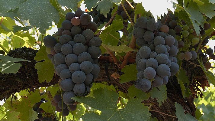 Aquí la Tierra - Aquí la Tierra - 29/09/22