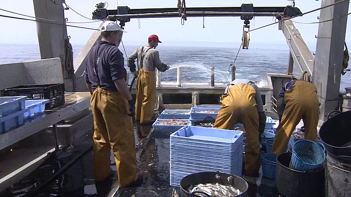 Agrosfera - Agrosfera - 01/10/22