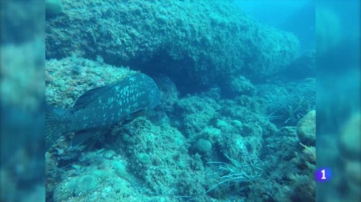 Telediario 1 - ¿Cómo obtener información sobre el fondo marino?