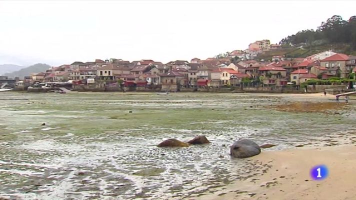 Telediario 1 - La marea roja en la Ría de Pontevedra impide trabajar a los mariscadores