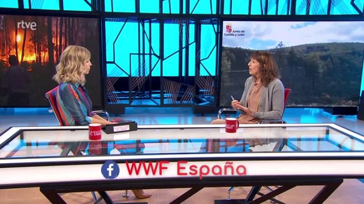 La aventura del Saber - Los incendios del verano