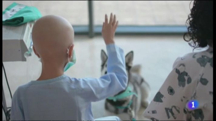 L'informatiu - Comunitat Valenciana - L'Informatiu de la Comunitat Valenciana 2 - 03/10/22