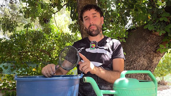 Va de verd - Com obtenir cendra líquida