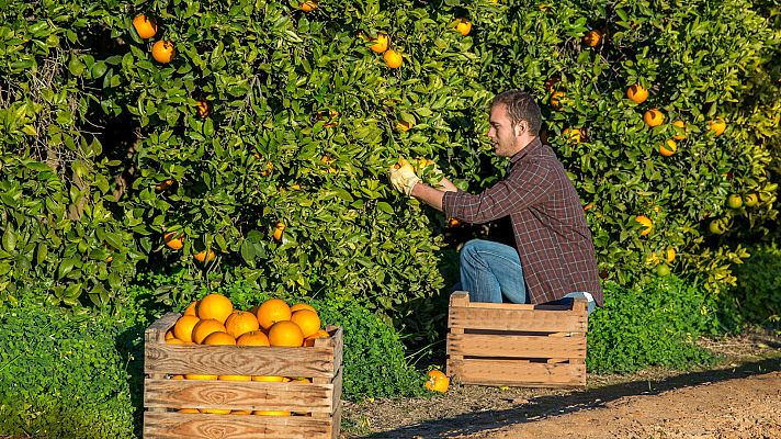 Telediario 1 - La Inspección de Trabajo descubre 26.600 contratos fijos-discontinuos fraudulentos