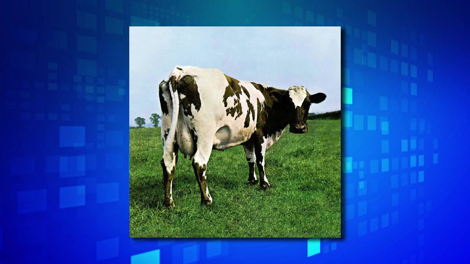 Saber y ganar - 11/10/22 - ver ahora