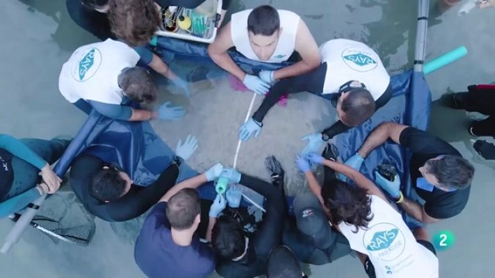 Telecanarias - Telecanarias 2 - 06/10/2022