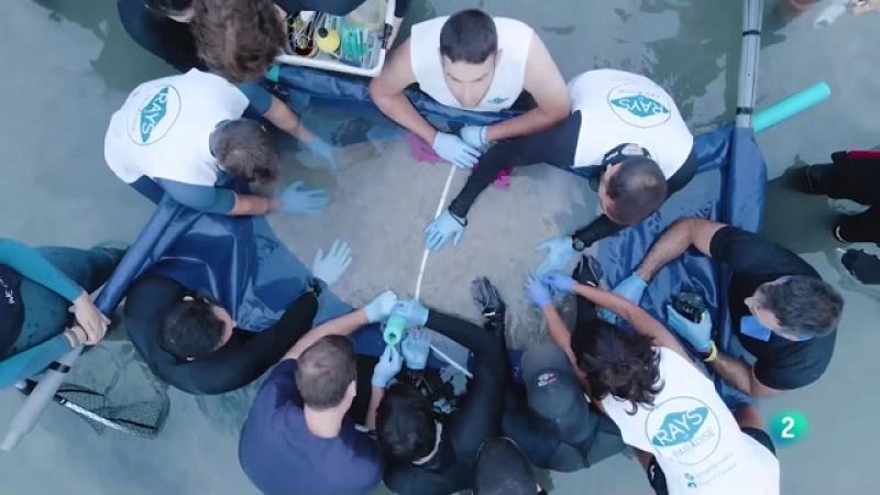 Telecanarias 2 - 06/10/2022 | Ver