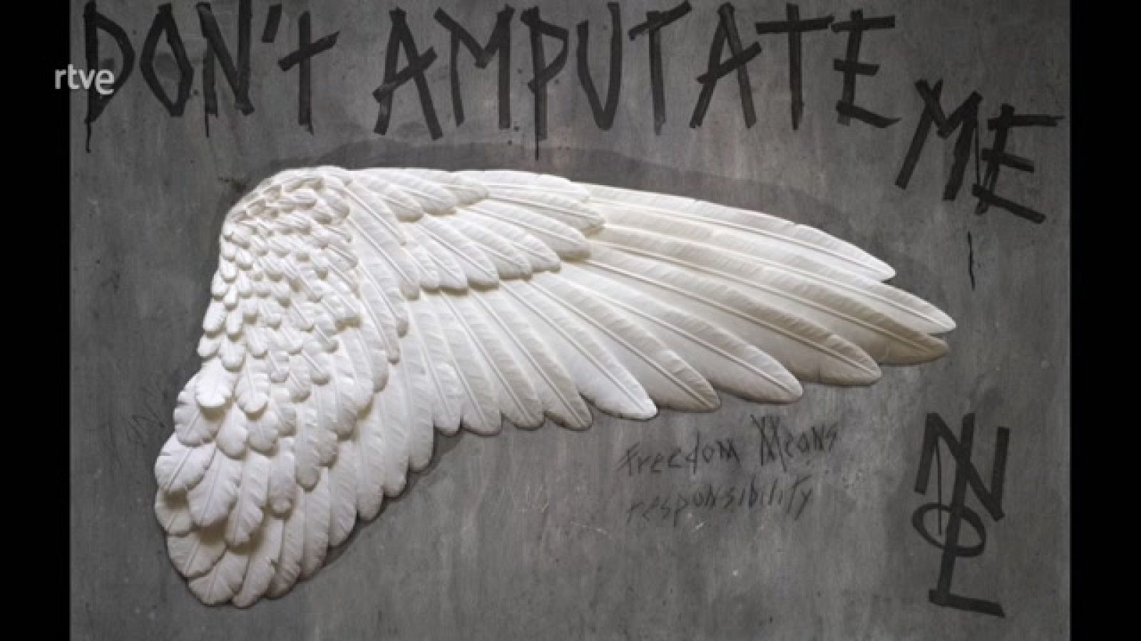 Boek visual nos muestra una selección de obras de la artista franco-mexicana Nolvenn Le Goff. Con papel, imaginación y técnica esculpe obras cargadas de belleza.