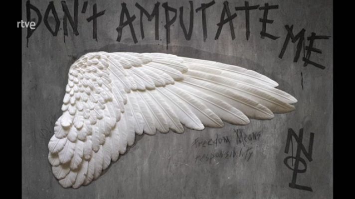 La aventura del Saber - Boek visual:  Nolvenn Le Goff