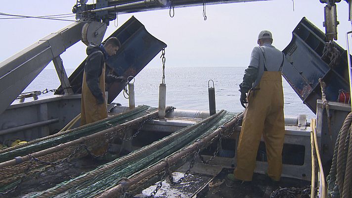 Agrosfera - Agrosfera - 08/10/22