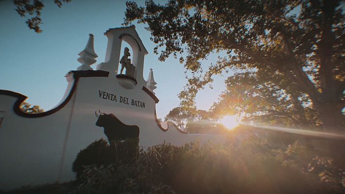 Tendido cero - Tendido cero - 08/10/22