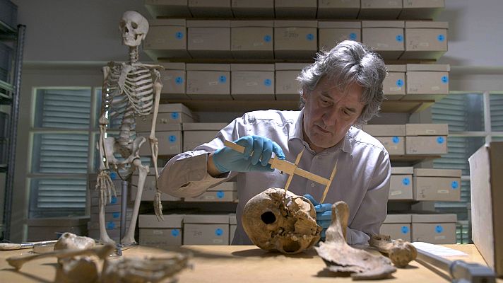 Casos abiertos de la historia - Conspiración en el harén. El caso de Ramsés III