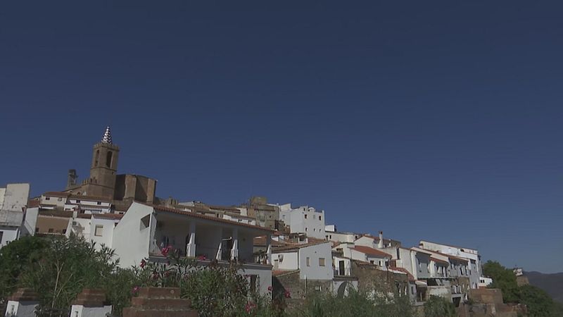 Endesa indemnizará por una caída mortal