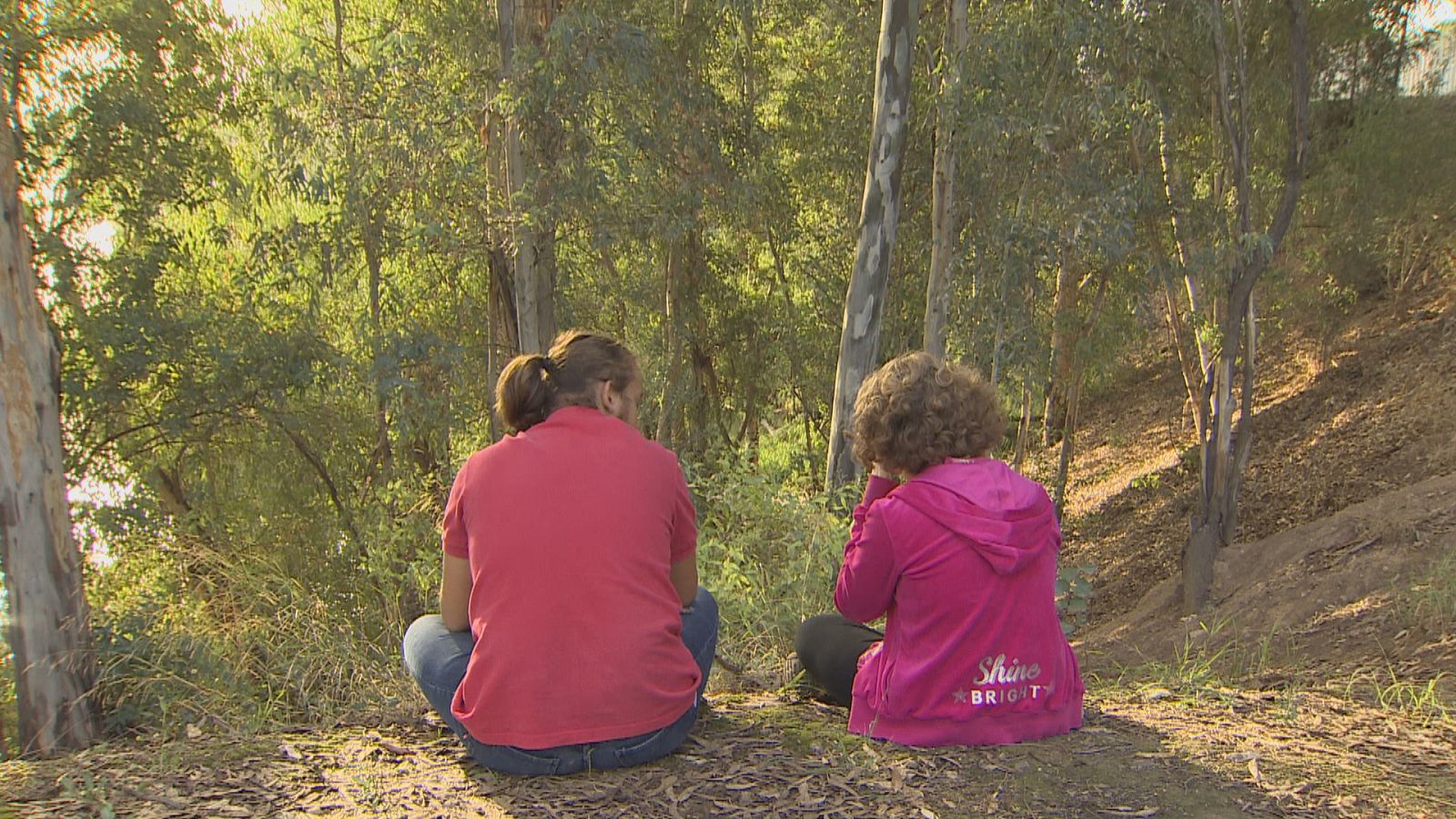 Síndrome alcohólico fetal - Ver ahora