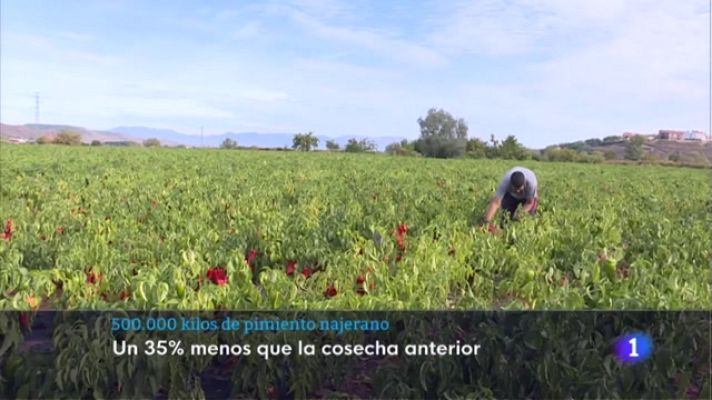 Informativo Telerioja - Informativo Telerioja 2 - 13/10/22