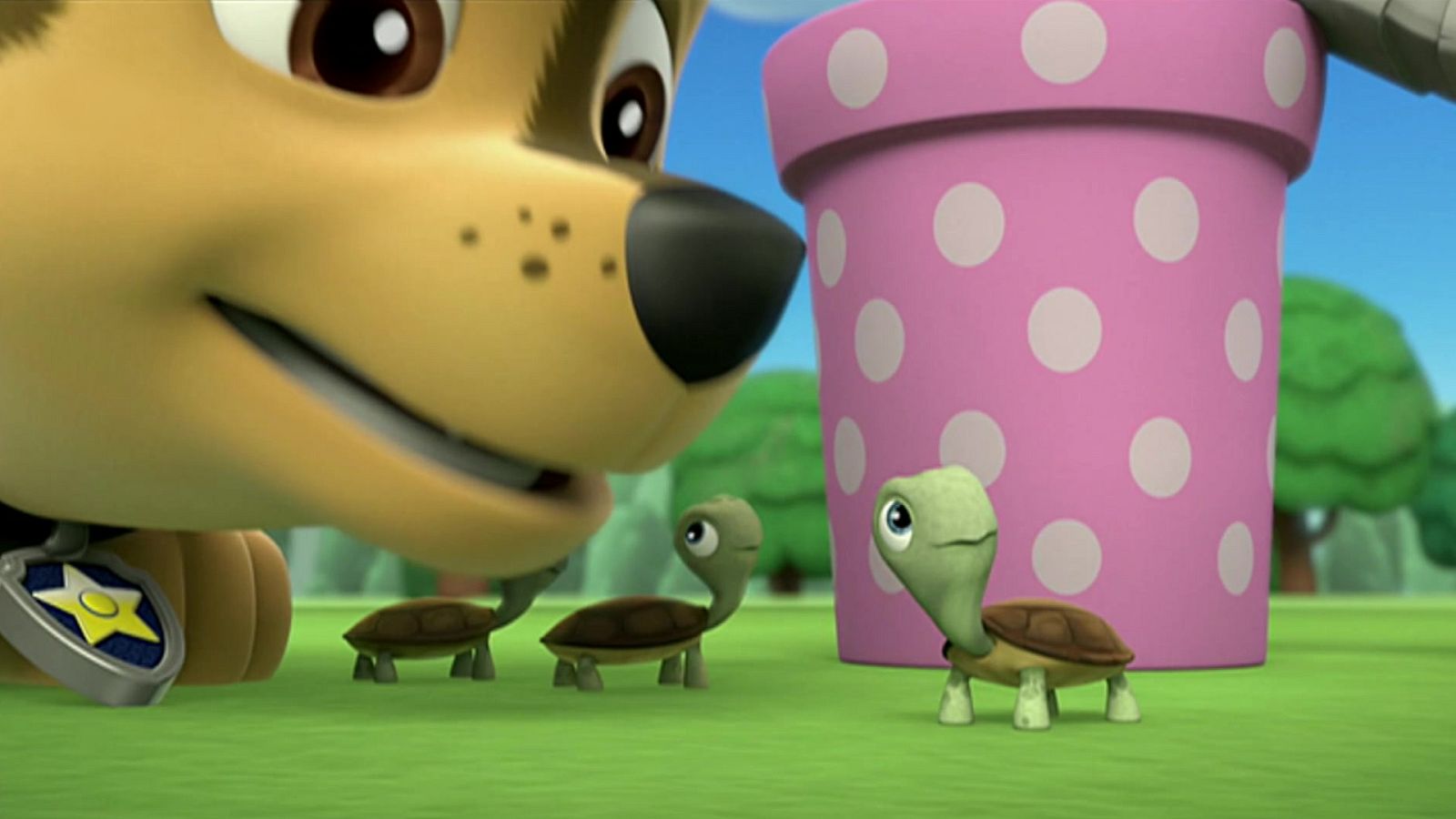 La patrulla y las tortugas - La patrulla canina | Ver