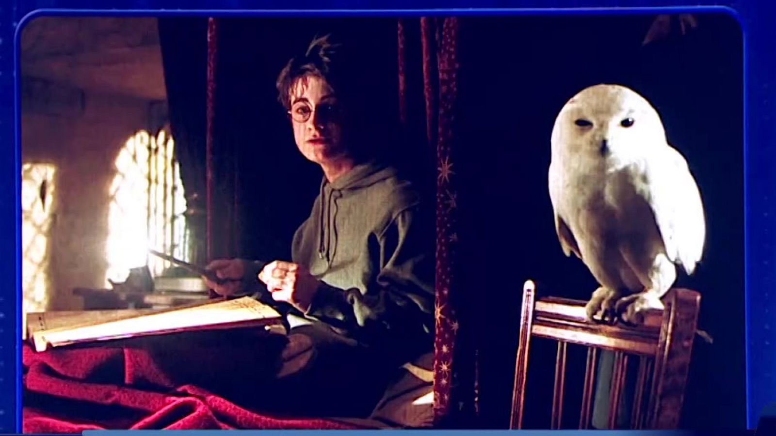 El comodín - Programa 9 - ver ahora