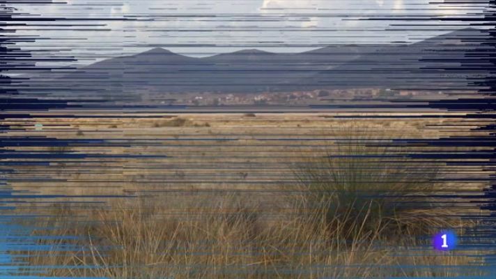 Telediario 1 - Los flamencos se quedan en Gallocanta