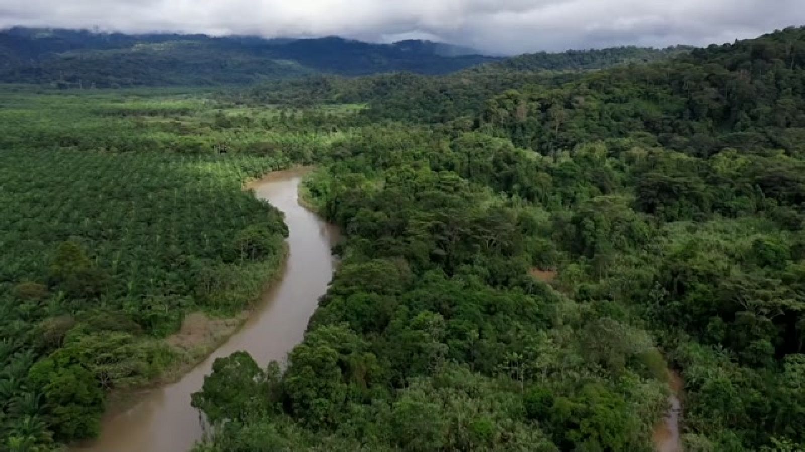 Turisme rural al món - Costa Rica: el secret de la jungla