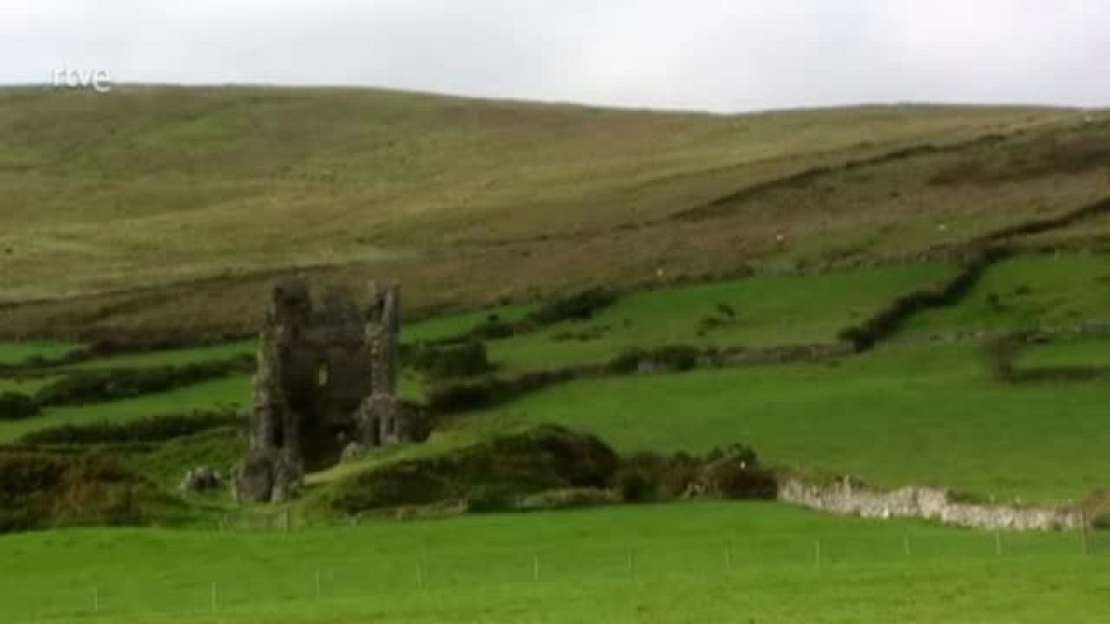 Aquí la Tierra - Vacas Dexter, desde Irlanda con amor