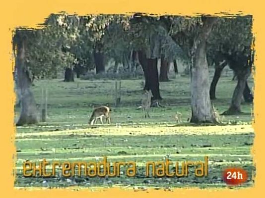 Ciencia y tecnología en Rtve.es - Conflictos en el puerto de Vigo