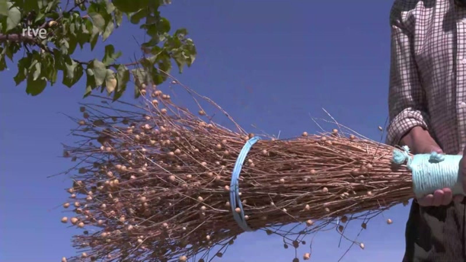 Aquí la Tierra - Así se hace una escoba a mano