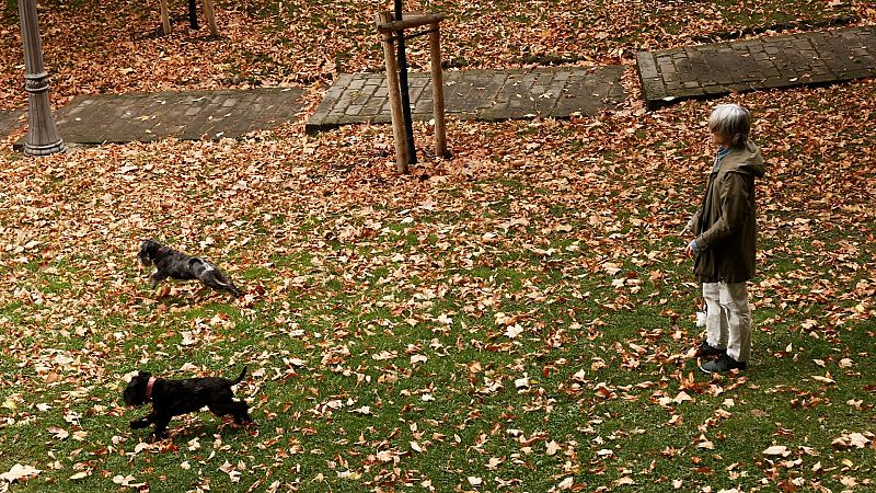 Precipitaciones en zonas del norte, oeste y centro peninsular - El tiempo | Ver