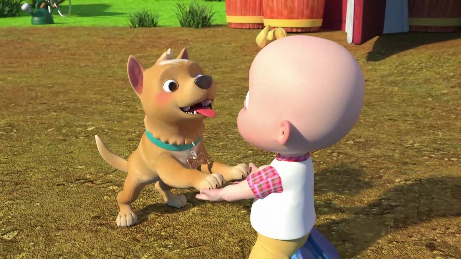 Contar animales - CoComelon | Ver