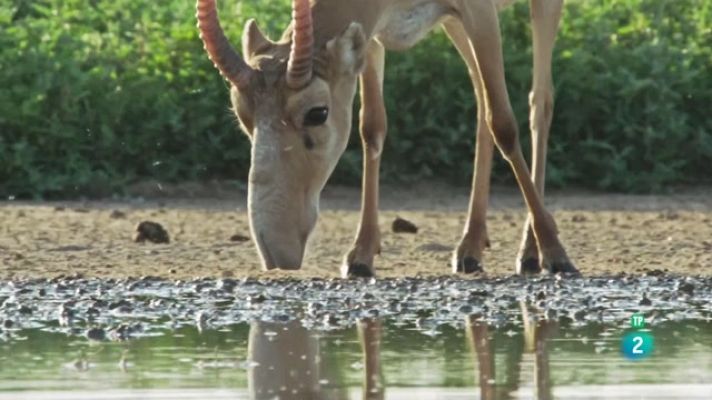 Som Documentals - El regne del Volga - Episodi 2: Un riu es converteix en mar