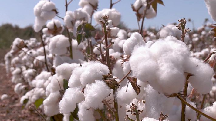 Aquí la Tierra - Aquí la Tierra - 19/10/22