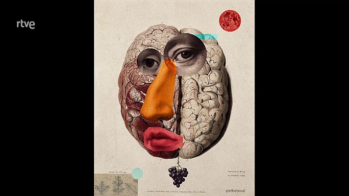 La aventura del Saber - La aventura del saber - 20/10/22