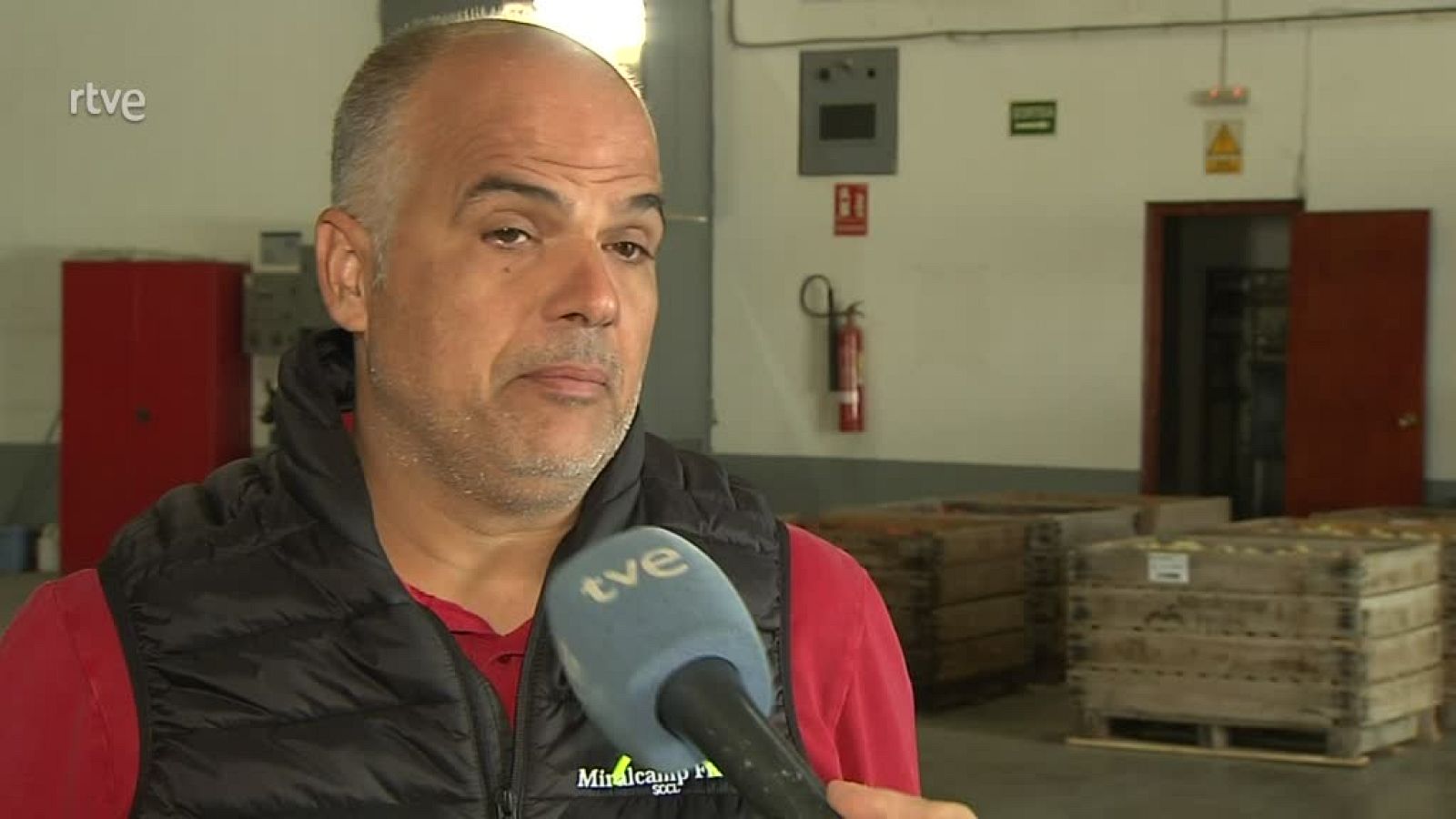 José Antonio Fortón, Miralcamp Fruits: "El panorama és alarmant"