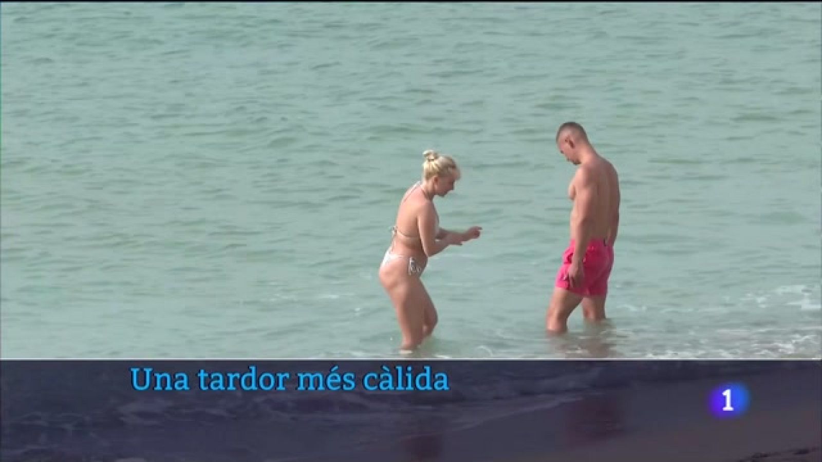 Una tardor molt càlida - Veure ara