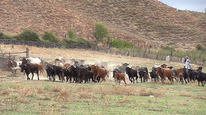 Tendido cero - Tendido cero - 22/10/22