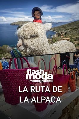 La Ruta de la Alpaca